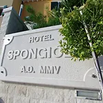 Spongiola 4* Krapanj
