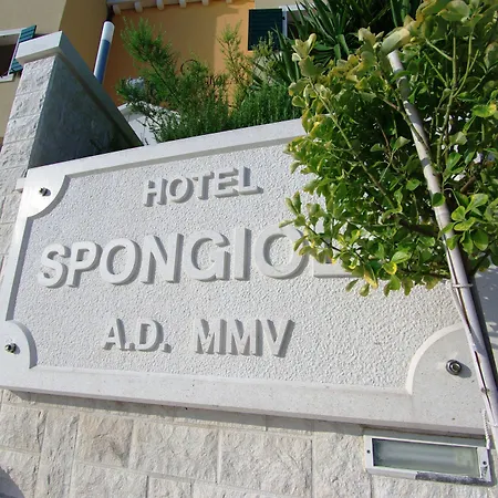 Spongiola 4* Krapanj