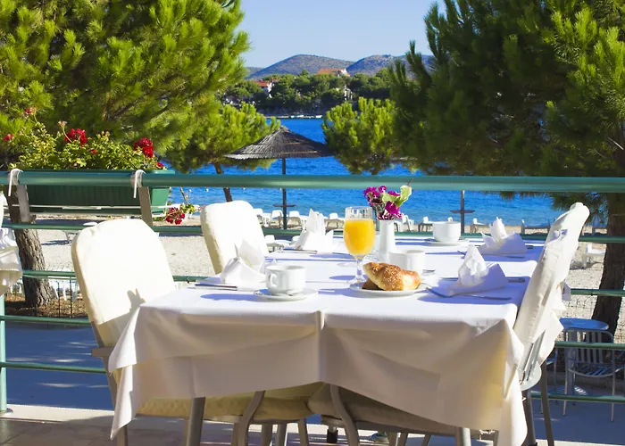 Spongiola 크라파니